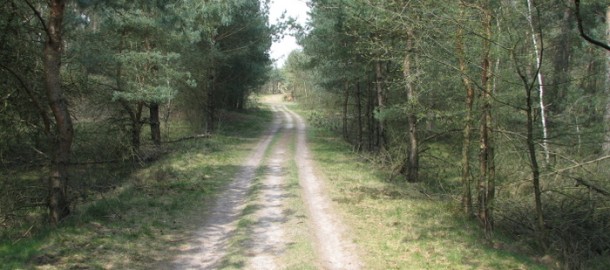 Stroeër Zand 1