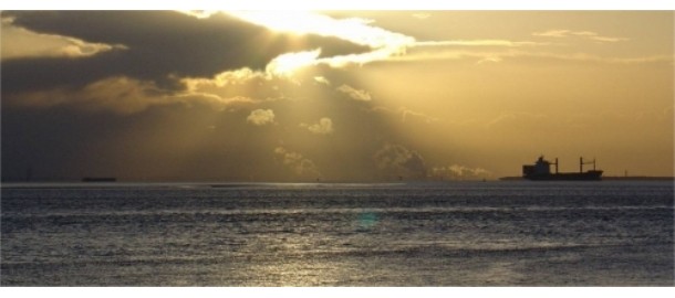 Westerschelde