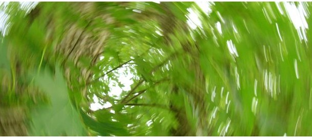 Banner Duurzaamheid