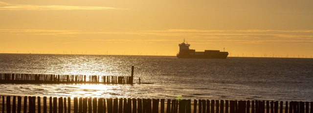 Westerschelde