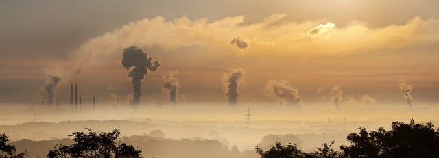 Industrie en natuur.jpg