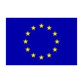 Europese vlag