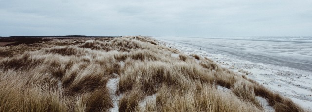 Duinen aan zee.jpg