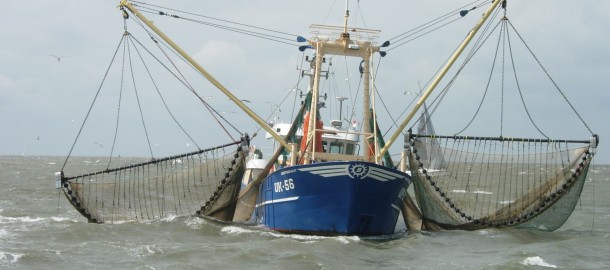Urker visser op waddenzee augustus 2008 057