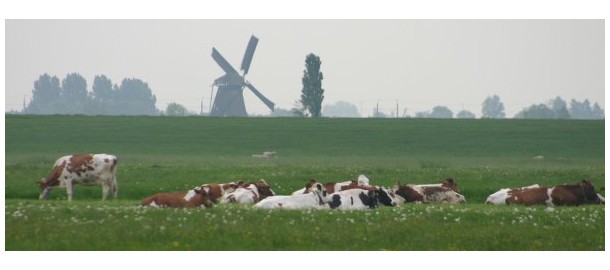 ChristenUnie Zuid-Holland verkiezingsprogramma onderdeel landbouw
