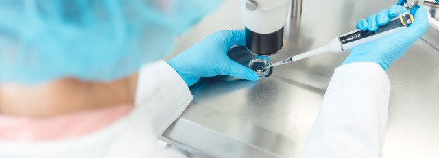 Embryo onderzoek