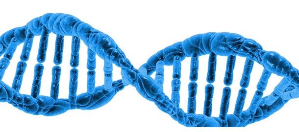 DNA