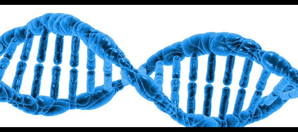 DNA