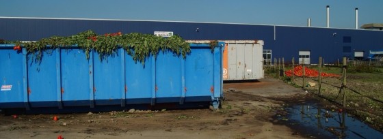 Container met afgekeurde groente