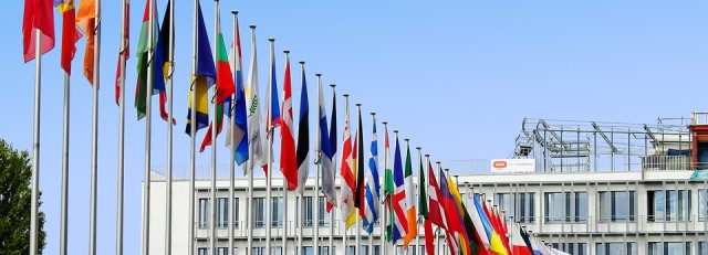 Europese vlaggen.jpg
