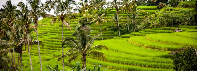 landscape-nature-grass-field-lawn-meadow-579842-pxhere.com.jpg