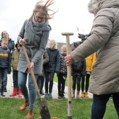 schep en wind zonder.jpg