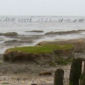 waddenzee