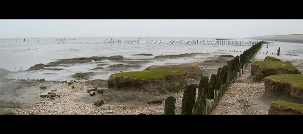 waddenzee