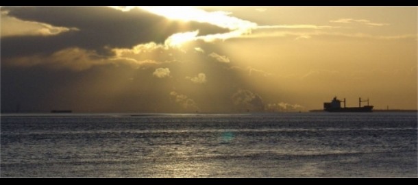 Westerschelde