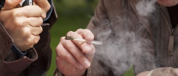 Joint, wiet.jpg