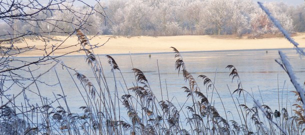 winter natuur 048