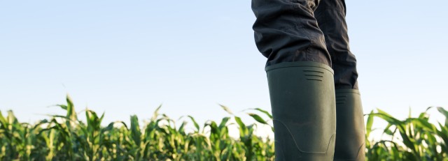 Boeren laarzen in veld.jpg