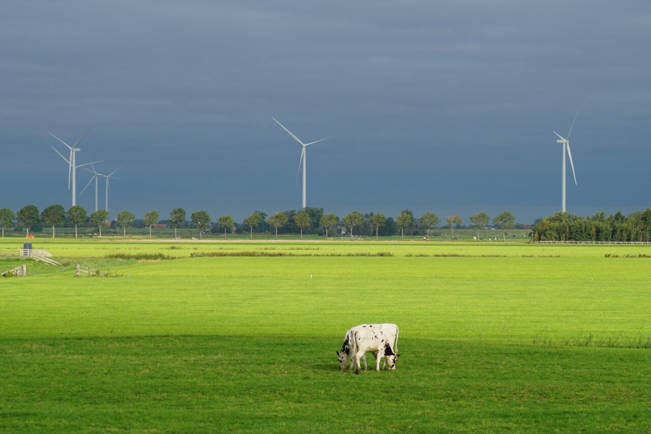 Windmolens bij een weiland