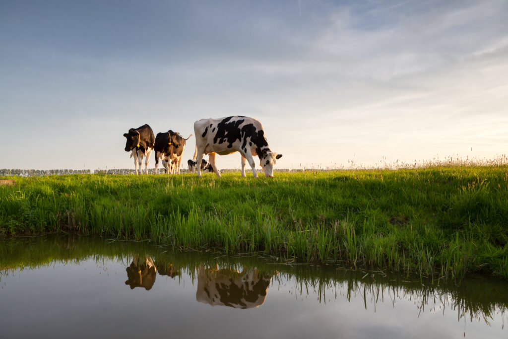 Opstaan voor het platteland